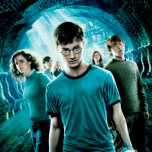 Harry Potter Magnets