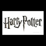 Harry Potter Logo posters