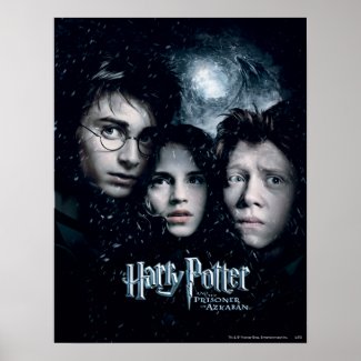 Harry Potter Movie Poster print