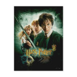 Harry Potter Ron Hermione Dobby Group Shot postcards