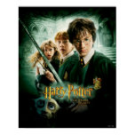 Harry Potter Ron Hermione Dobby Group Shot