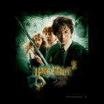 Harry Potter Ron Hermione Dobby Group Shot posters