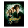 Harry Potter Ron Hermione Dobby Group Shot Poster Harry Potter Ron Hermione Dobby Group Shot Poster