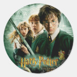 Harry Potter Ron Hermione Dobby Group Shot Round Stickers