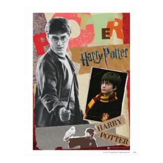 Harry Potter Then and Now print