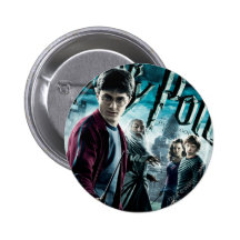 Harry Potter With Dumbledore Ron and Hermione 1 Pins