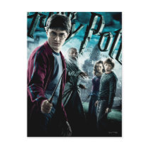Harry Potter With Dumbledore Ron and Hermione 1 Post Cards