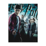 Harry Potter With Dumbledore Ron and Hermione 1 postcards