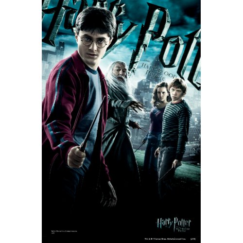 Harry Potter With Dumbledore Ron and Hermione 1 print