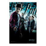Harry Potter With Dumbledore Ron and Hermione 1