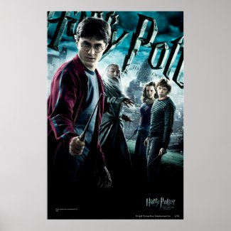Harry Potter With Dumbledore Ron and Hermione 1 print