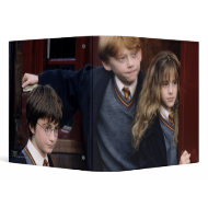 Harry, Ron, and Hermione binder