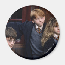 Harry, Ron, and Hermione Magnets