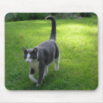 Harrypad 1 mousepads