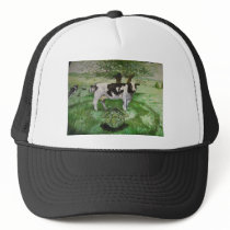 hart art 005 hats