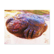 Hart works KOA 021 Postcards