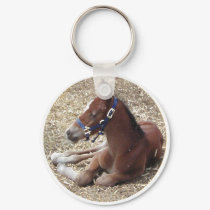 hartlandfoal keychains