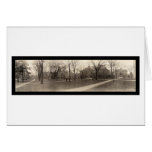 Harvard University Photo 1910 Card