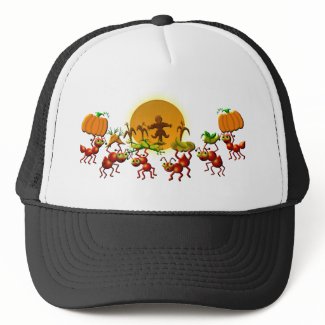 harvest ants hat