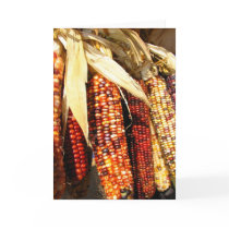 Harvest Corn cards by ktyqueen Harvest Corn cards