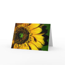 Harvest Flower cards by BryonTiffDesign Harvest Flower cards