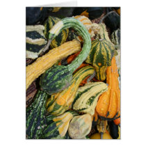 HARVEST HOARD cards