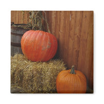 Harvest magnets by Jack_of_Arts Harvest magnets