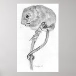 Harvest Mouse posters