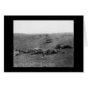 Harvest of Death at Gettysburg, PA 1863 cards