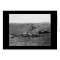 Harvest of Death at Gettysburg, PA 1863 cards by lc_civilwar Harvest of Death at Gettysburg, PA 1863 cards