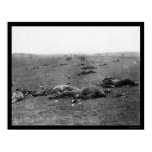 Harvest of Death at Gettysburg, PA 1863 Posters