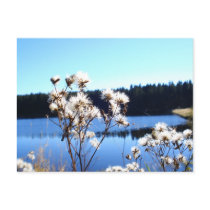 harvest postcards