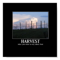 Harvest posters by Butterfly2008 Harvest posters