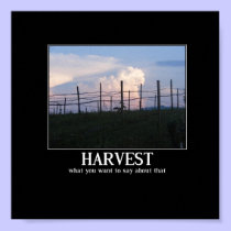 Harvest posters