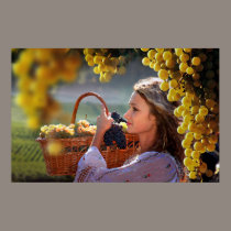 Harvest posters