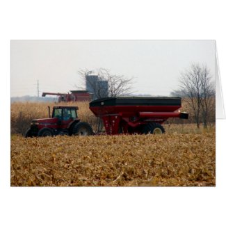 Harvest the Corn card