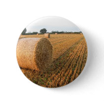 Harvest Time buttons