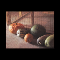 Harvest Time canvas prints