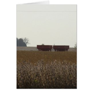 Harvest Time card