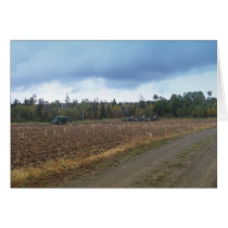 Harvest Time cards