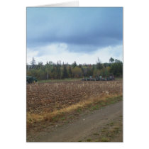 Harvest Time cards