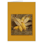 Harvest Time cards