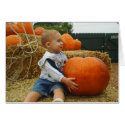 harvest time cards