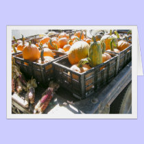 Harvest Time cards