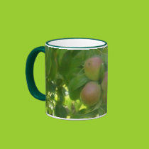 Harvest time  for the pears mug mugs
