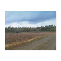 Harvest Time postcards