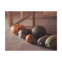Harvest Time postcards