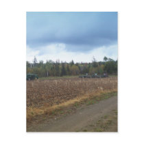 Harvest Time postcards