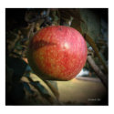 Harvest Time posters