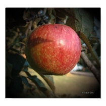 Harvest Time posters by StarLily Harvest Time posters
